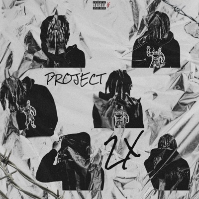 Project 2X