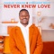 Never Knew Love (Radio Mix) artwork