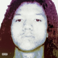 Wild - Single - Tebtu