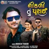 Nikdi Tu Parayi - Single