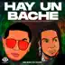 Hay un Bache song reviews