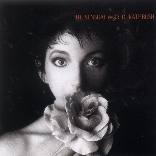 Kate Bush ケイト・ブッシュ ギターピック LTk1NTkuanBlZw.jpeg