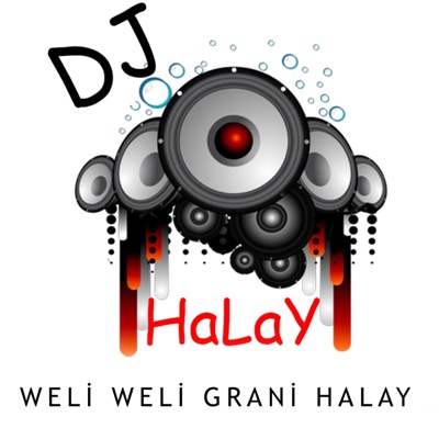 Dj Halay Remix - Weli Weli Kürtçe Müzik