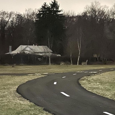 Songs for former Cub Scouts who are now on Maryland's Most Wanted - Single