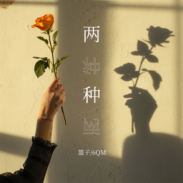 两种 - Single
