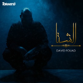 El Shetaa (feat. Omar Boflot) David Fouad
