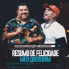 Resumo De Felicidade / Meu Querubim (Ao Vivo) - Single