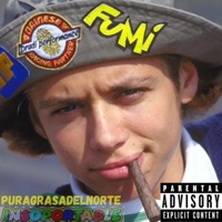 INSOPORTABLE (feat. FATDOPE) - Single - PURAGRASADELNORTE
