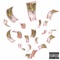 Datsquad Biguce money on my mind - Datsquad lyrics