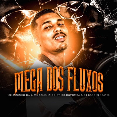 Mega dos Fluxos - Single