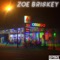 Cigarettes At the Citgo - Zoe Briskey lyrics