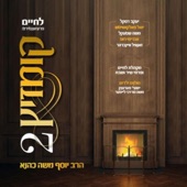 לחיים קומזיץ 2 artwork