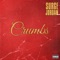 Crumbs (Championship Edition) - Surge Jordan lyrics