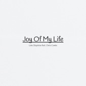 Joy of My Life (feat. Chris Combs) artwork