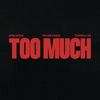 Too Much 