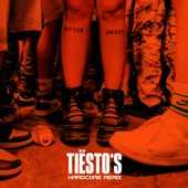 Bittersweet Goodbye (Tiësto’s Hardcore Remix) artwork