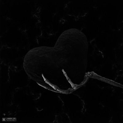 Playboy - Single