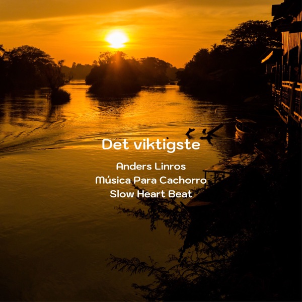 Det Viktigste - Single