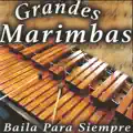 Vamos a la Cumbia