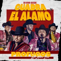 En Vivo Desde Cuadra El Alamo - Profugos De Nuevo Leon