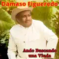 ANDO BUSCANDO UNA VIUDA