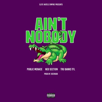 Ain't Nobody (feat. Neo Sectio & Tru Banks TFL) - Single