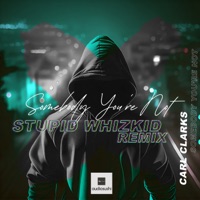 Somebody You're Not (Stupid Whizkid Remix) - Single - Carl Clarks & Stupid Whizkid