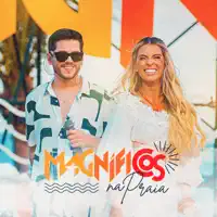 Meu Tesão É Você — Banda Magnificos