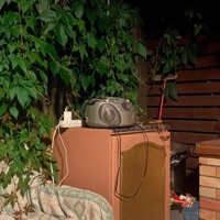 Esi Tu Pats (feat. Armēnis) - Single - Amanito