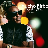 Desilusión - Single - Mucho Birbo