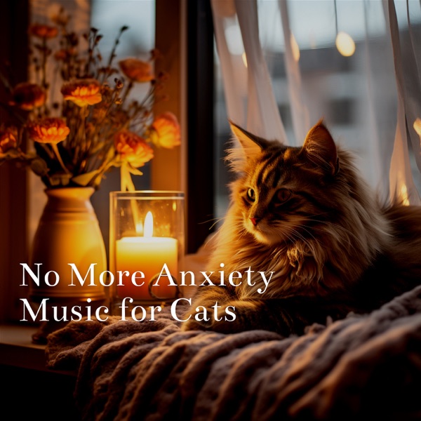 No More Anxiety Music for Cats