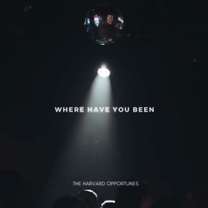 Where Have You Been - Single