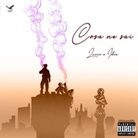 Cosa Ne Sai (feat. Idra) - Single - Lucio