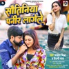 Sautiniya Paneer Lagele - Single