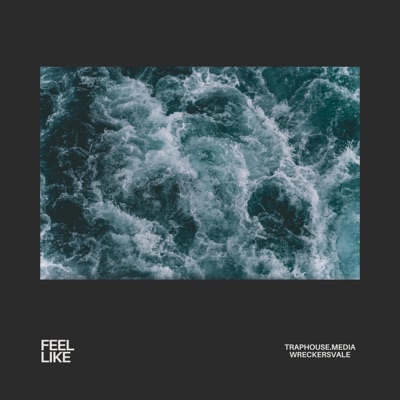 Feel Like (feat. Curtis Dee Rovar & Absoll Luz) - Single