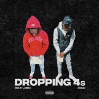 Dropping 4s (feat. DuSav) - Single - Crazy James