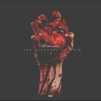 The Pleasure In Pain 2 - Billionaire