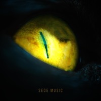 DILE A TU GATO - Single - The T.Y