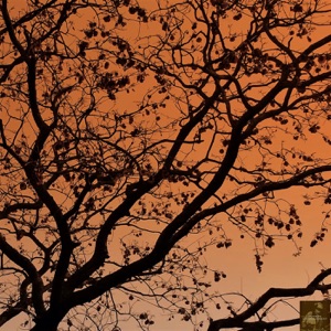 Bumpin' That Sunset (L'il Mo Bump Mix)