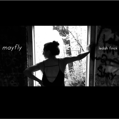 Mayfly