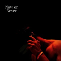 Now or Never - Single - Sina & Decc