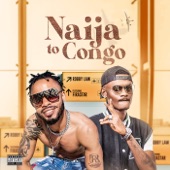 Naija to Congo (feat. Firastar) artwork