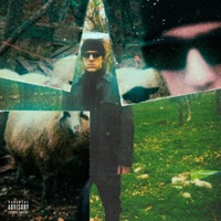 X I MIEI AMICI - Single - Vins