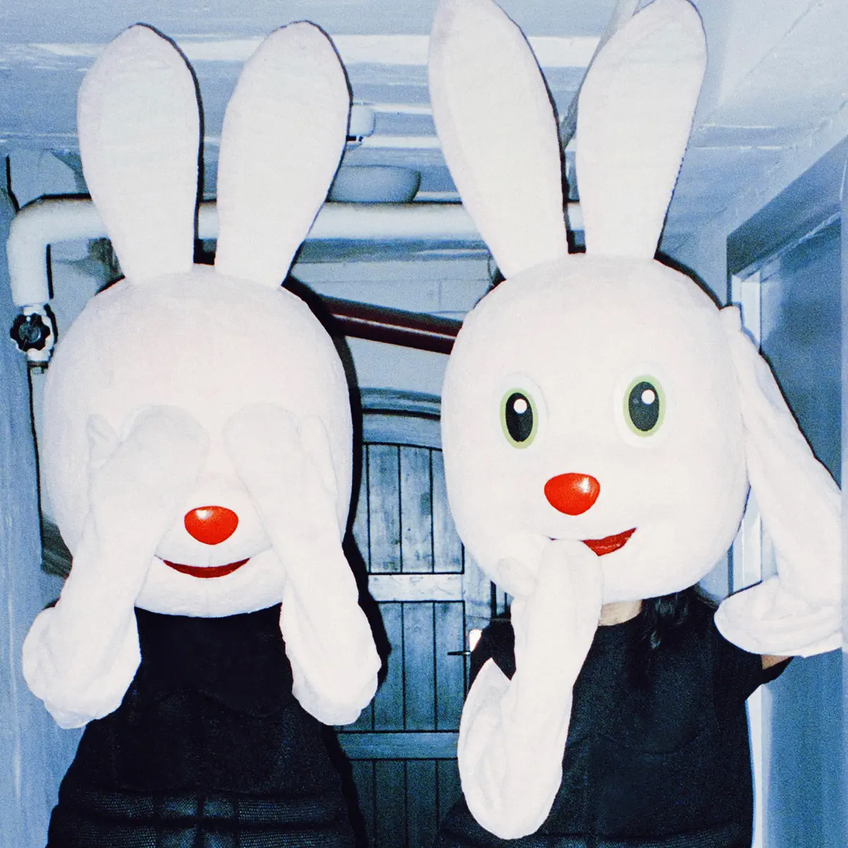 First Hate - Down The Rabbit Hole - EP (2024) [iTunes Plus AAC M4A]-新房子