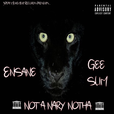 Not a Nary Notha - Single