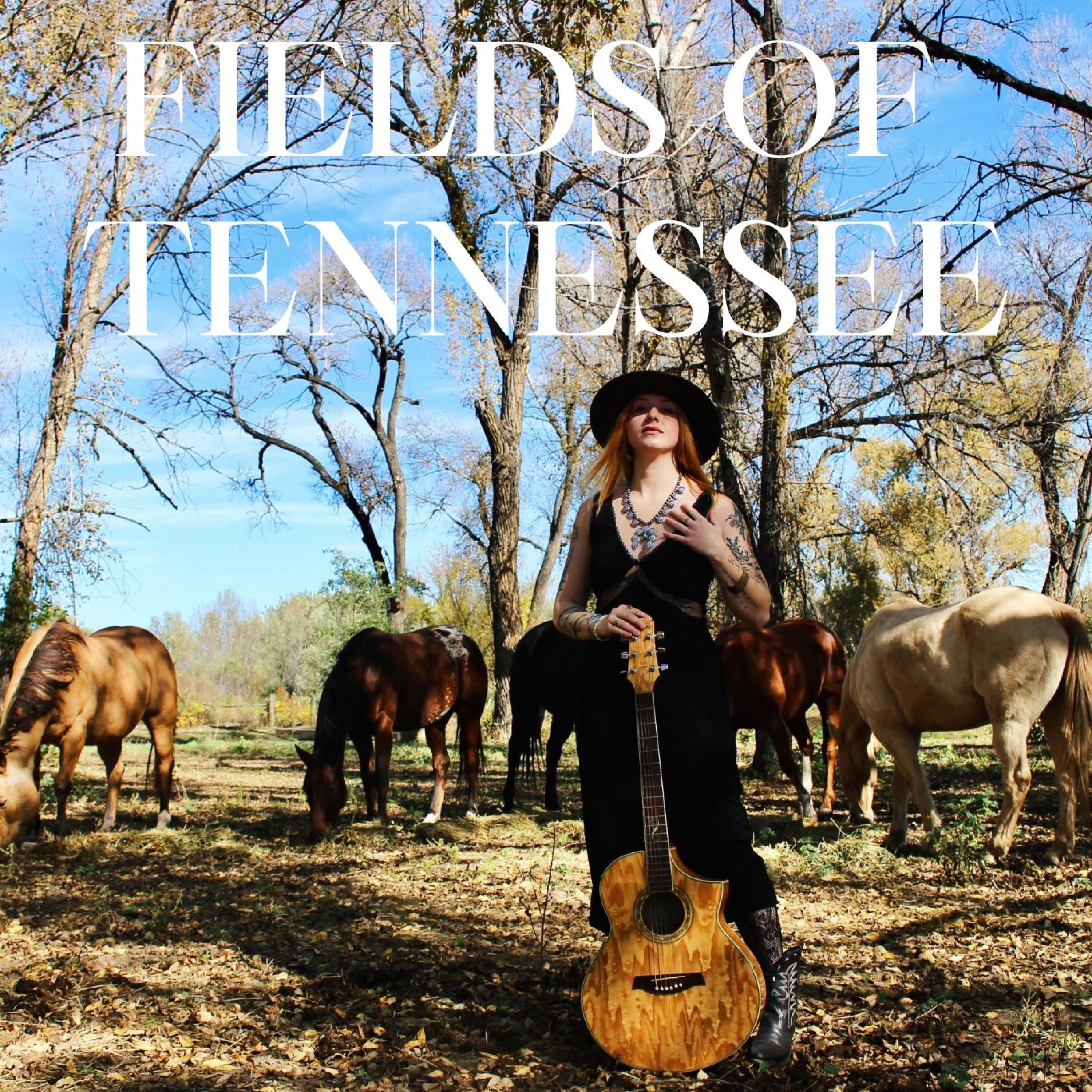 Fields of Tennessee (One Year Later)