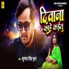 Diwana Kahe Kailu - Single