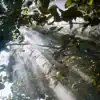 Natural high
