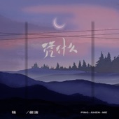 凭什么(烟嗓男声版) artwork