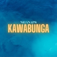 Kawabunga - Single - Niganaps